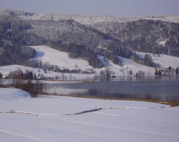Bauernhof Kasleitner Βίλα Zell am Moos Εξωτερικό φωτογραφία
