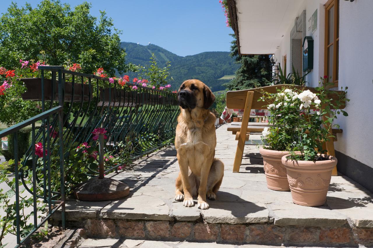 Bauernhof Kasleitner Βίλα Zell am Moos Εξωτερικό φωτογραφία