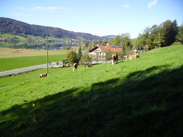 Bauernhof Kasleitner Βίλα Zell am Moos Εξωτερικό φωτογραφία